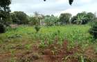 Land at Mimosa Road - 7