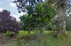Land at Runda - 1
