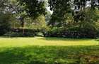 5.2 ac Land at Off Mandera - 4