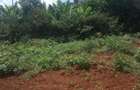 Land in Ruiru - 1