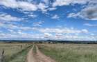 10 ac Land in Nanyuki - 3