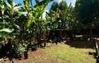 4 Bed Townhouse with En Suite in Lavington - 3
