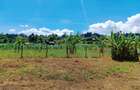 500 m² Residential Land at Lussingetti - 5