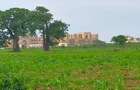 Land in Vipingo - 9