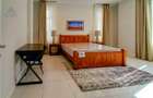 Furnished 1 Bed Apartment with En Suite at Rhapta Road - 4