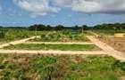 Serviced 1 Bed Apartment with En Suite in Vipingo - 2