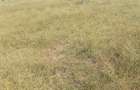 Land in Athi River - 3