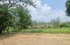 10 ac Land at Mtwapa Creekside - 6