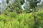 2 ac Land at Karingani - 2