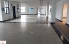 Furnished 5,000 ft² Commercial Property with Backup Generator at Kilimani - 4