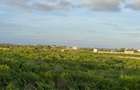 Land in Malindi - 2