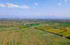 Land in Naivasha - 3