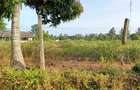 15 ac Land at Bomani - 9