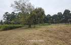 1 ac Land in Garden Estate - 4