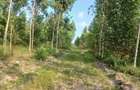 Land in Diani - 10