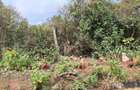 4.5 ac Land at Langata South Road - 12