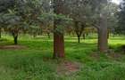 0.125 ac Residential Land at Thika Grove Chania-Opposite Blue Post Hotel - 11