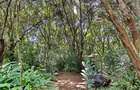 1 Bed House with En Suite in Karen - 2