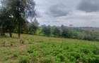 6 ac Land in Tigoni - 2