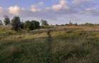 0.5 ac Residential Land in Nanyuki - 7