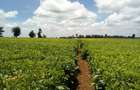 Land at Kiambu Rd - 4