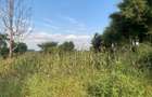 0.5 ac Land at Kiganjo Junction - 4
