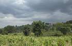 0.25 ac Residential Land in Ngong - 3