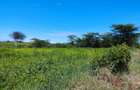 8.5 ac Land at Jua Kali - 6