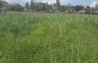 0.113 ac Residential Land in Ongata Rongai - 6