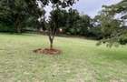 1 ac Land at Karen Hills - 3