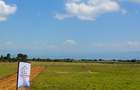 Residential Land in Naivasha - 5