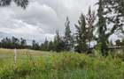 5 ac Land at Karen - 5