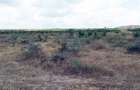 5 ac Residential Land in Athi River - 1