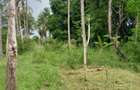 1 ac Land in Kikambala - 5