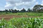 10 ac Land at Tigoni - 1