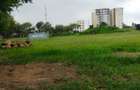 5 ac Land in Nyali Area - 7