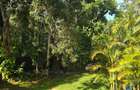 5 Bed Townhouse with Staff Quarters at Peponi Road - 13