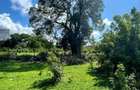 Land in Vipingo - 17