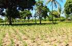 Land at Kilifi Tezo - 13