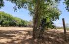 75 ac Land at Vipingo - 13