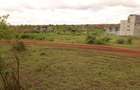 10 ac Land at Witeithie - 4