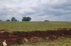 62 ac Land at Riabai - 5