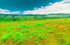2,000 m² Residential Land at Off The Ngong - Suswa By-Pass - 4