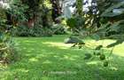 1.2 ac Land in Runda - 3