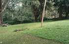 0.75 ac Residential Land at Mageta Road - 2