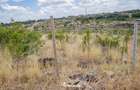 Residential Land at Juja Farm - 3