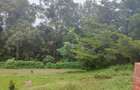 2.8 ac Land at Farasi Lane - 1