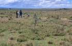 0.405 ha Land in Nanyuki - 6