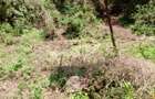 2 ac Land at Karati - 3