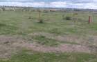 Residential Land at Joy Farm Mwireri Shopping Center - 8